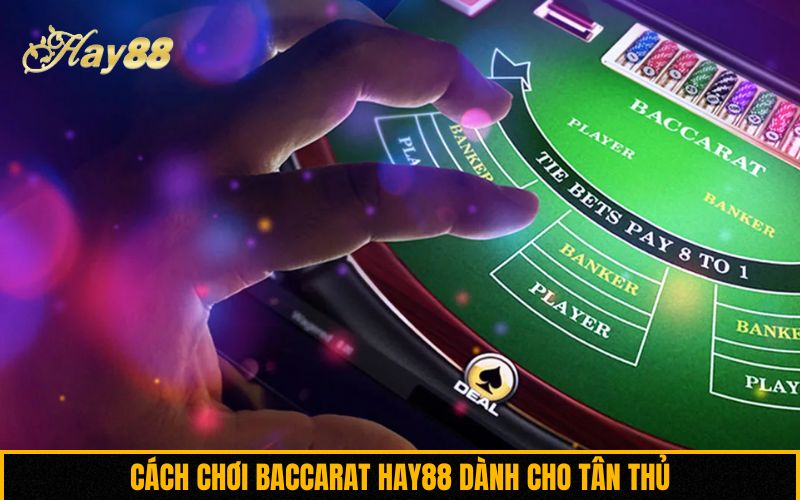 Cách chơi Baccarat Hay88 dành cho tân thủ
