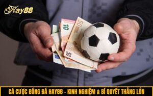 Cá cược bóng đá Hay88