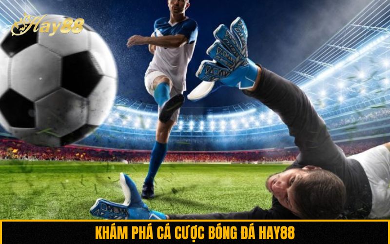 Khám phá cá cược bóng đá Hay88