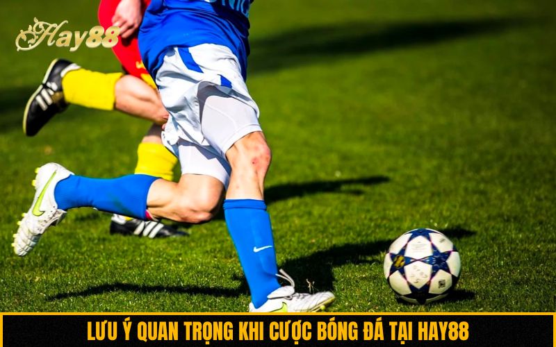 Lưu ý quan trọng khi cược bóng đá tại Hay88