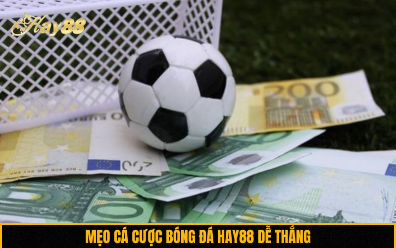 Mẹo cá cược bóng đá Hay88 dễ thắng