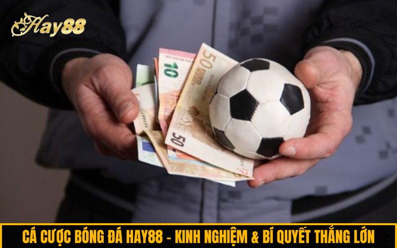 Cá cược bóng đá Hay88