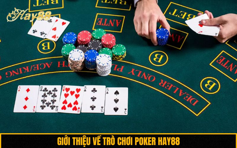 Giới thiệu về trò chơi Poker Hay88