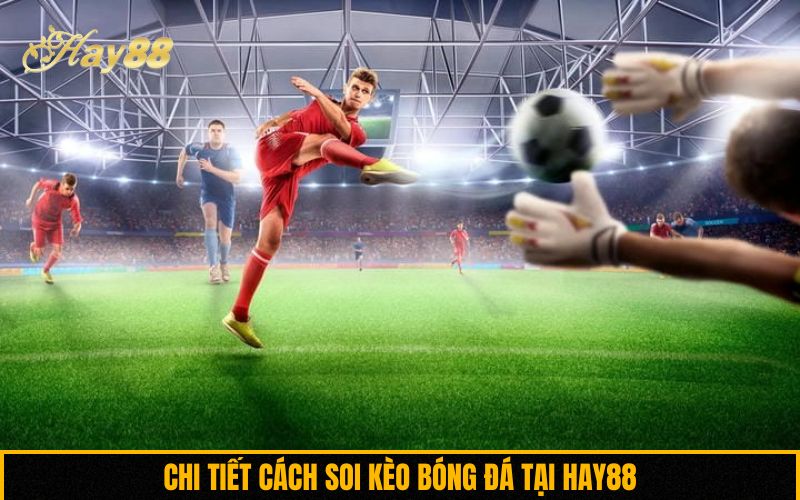 Chi tiết cách soi kèo bóng đá tại Hay88